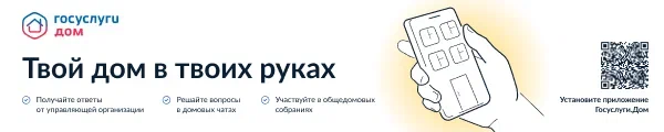 image 2024 06 25