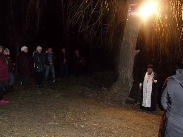 SDC13846